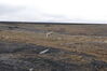 Filename=20120811_019.jpg
Filesize=490KiB
Dimensions=2047x1370
Date added=Oct 16, 2020 20120811_019.jpg