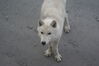 Filename=20120817_001.jpg
Filesize=251KiB
Dimensions=2047x1370
Date added=Oct 16, 2020 20120817_001.jpg