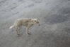 Filename=20120817_002.jpg
Filesize=406KiB
Dimensions=2047x1370
Date added=Oct 16, 2020 20120817_002.jpg