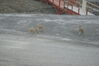 Filename=20120817_003.jpg
Filesize=430KiB
Dimensions=2047x1370
Date added=Oct 16, 2020 20120817_003.jpg