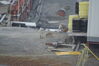 Filename=20120817_011.jpg
Filesize=326KiB
Dimensions=2047x1370
Date added=Oct 16, 2020 20120817_011.jpg