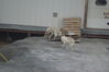Filename=20120817_013.jpg
Filesize=267KiB
Dimensions=2047x1370
Date added=Oct 16, 2020 20120817_013.jpg
