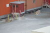 Filename=20120817_018.jpg
Filesize=349KiB
Dimensions=2047x1370
Date added=Oct 16, 2020 20120817_018.jpg