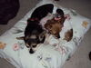 Filename=20120828_001.jpg
Filesize=111KiB
Dimensions=1024x768
Date added=Mar 24, 2013 20120828_001.jpg