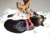 Filename=20120828_004.jpg
Filesize=121KiB
Dimensions=1024x768
Date added=Mar 24, 2013 20120828_004.jpg