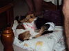 Filename=20120828_005.jpg
Filesize=104KiB
Dimensions=1024x768
Date added=Mar 24, 2013 20120828_005.jpg