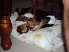 Filename=20120828_006.jpg
Filesize=117KiB
Dimensions=1024x768
Date added=Mar 24, 2013 20120828_006.jpg
