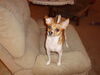Filename=20120830_002.jpg
Filesize=118KiB
Dimensions=1024x768
Date added=Mar 24, 2013 20120830_002.jpg