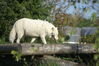 Filename=20120929_002.jpg
Filesize=171KiB
Dimensions=1023x685
Date added=Mar 24, 2013 20120929_002.jpg