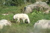 Filename=20120929_004.jpg
Filesize=224KiB
Dimensions=1023x685
Date added=Mar 24, 2013 20120929_004.jpg