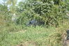 Filename=20120929_005.jpg
Filesize=249KiB
Dimensions=1023x685
Date added=Mar 24, 2013 20120929_005.jpg