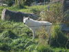 Filename=20120929_006.jpg
Filesize=306KiB
Dimensions=1024x768
Date added=Mar 24, 2013 20120929_006.jpg