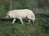 Filename=20120929_007.jpg
Filesize=249KiB
Dimensions=1024x768
Date added=Mar 24, 2013 20120929_007.jpg