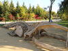Filename=20120929_008.jpg
Filesize=216KiB
Dimensions=1024x768
Date added=Mar 24, 2013 20120929_008.jpg