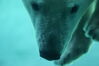 Filename=20120929_011.jpg
Filesize=100KiB
Dimensions=1023x685
Date added=Mar 24, 2013 20120929_011.jpg