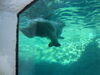 Filename=20120929_012.jpg
Filesize=153KiB
Dimensions=1024x768
Date added=Mar 24, 2013 20120929_012.jpg
