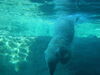 Filename=20120929_014.jpg
Filesize=121KiB
Dimensions=1024x768
Date added=Mar 24, 2013 20120929_014.jpg