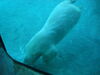 Filename=20120929_015.jpg
Filesize=96KiB
Dimensions=1024x768
Date added=Mar 24, 2013 20120929_015.jpg
