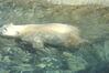 Filename=20120929_016.jpg
Filesize=168KiB
Dimensions=1023x685
Date added=Mar 24, 2013 20120929_016.jpg