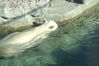 Filename=20120929_017.jpg
Filesize=193KiB
Dimensions=1023x685
Date added=Mar 24, 2013 20120929_017.jpg