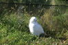 Filename=20120929_018.jpg
Filesize=267KiB
Dimensions=1023x685
Date added=Mar 24, 2013 20120929_018.jpg