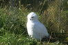 Filename=20120929_019.jpg
Filesize=214KiB
Dimensions=1023x685
Date added=Mar 24, 2013 20120929_019.jpg