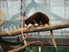 Filename=20120929_025.jpg
Filesize=140KiB
Dimensions=1024x768
Date added=Mar 24, 2013 20120929_025.jpg
