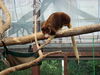 Filename=20120929_026.jpg
Filesize=168KiB
Dimensions=1024x768
Date added=Mar 24, 2013 20120929_026.jpg