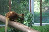 Filename=20120929_027.jpg
Filesize=191KiB
Dimensions=1023x685
Date added=Mar 24, 2013 20120929_027.jpg