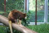 Filename=20120929_028.jpg
Filesize=181KiB
Dimensions=1023x685
Date added=Mar 24, 2013 20120929_028.jpg