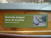 Filename=20120929_029.jpg
Filesize=166KiB
Dimensions=1024x768
Date added=Mar 24, 2013 20120929_029.jpg
