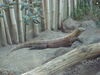 Filename=20120929_030.jpg
Filesize=143KiB
Dimensions=1024x768
Date added=Mar 24, 2013 20120929_030.jpg