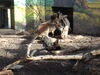 Filename=20120929_031.jpg
Filesize=176KiB
Dimensions=1024x768
Date added=Mar 24, 2013 20120929_031.jpg