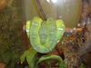 Filename=20120929_035.jpg
Filesize=177KiB
Dimensions=1024x768
Date added=Mar 24, 2013 20120929_035.jpg