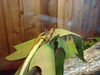 Filename=20120929_036.jpg
Filesize=160KiB
Dimensions=1024x768
Date added=Mar 24, 2013 20120929_036.jpg