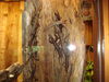 Filename=20120929_038.jpg
Filesize=195KiB
Dimensions=1024x768
Date added=Mar 24, 2013 20120929_038.jpg