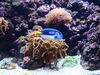 Filename=20120929_041.jpg
Filesize=253KiB
Dimensions=1024x768
Date added=Mar 24, 2013 20120929_041.jpg