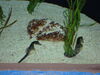 Filename=20120929_042.jpg
Filesize=182KiB
Dimensions=1024x768
Date added=Mar 24, 2013 20120929_042.jpg