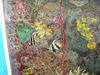 Filename=20120929_043.jpg
Filesize=236KiB
Dimensions=1024x768
Date added=Mar 24, 2013 20120929_043.jpg