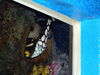 Filename=20120929_044.jpg
Filesize=154KiB
Dimensions=1024x768
Date added=Mar 24, 2013 20120929_044.jpg