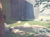 Filename=20120929_046.jpg
Filesize=142KiB
Dimensions=1024x768
Date added=Mar 24, 2013 20120929_046.jpg