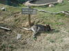 Filename=20120929_047.jpg
Filesize=316KiB
Dimensions=1024x768
Date added=Mar 24, 2013 20120929_047.jpg