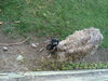 Filename=20120929_048.jpg
Filesize=271KiB
Dimensions=1024x768
Date added=Mar 24, 2013 20120929_048.jpg