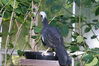 Filename=20120929_056.jpg
Filesize=205KiB
Dimensions=1023x685
Date added=Mar 24, 2013 20120929_056.jpg