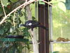 Filename=20120929_057.jpg
Filesize=187KiB
Dimensions=1024x768
Date added=Mar 24, 2013 20120929_057.jpg