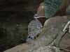 Filename=20120929_058.jpg
Filesize=149KiB
Dimensions=1024x768
Date added=Mar 24, 2013 20120929_058.jpg