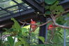 Filename=20120929_059.jpg
Filesize=188KiB
Dimensions=1023x685
Date added=Mar 24, 2013 20120929_059.jpg
