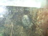 Filename=20120929_062.jpg
Filesize=152KiB
Dimensions=1024x768
Date added=Mar 24, 2013 20120929_062.jpg