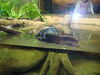 Filename=20120929_066.jpg
Filesize=177KiB
Dimensions=1024x768
Date added=Mar 24, 2013 20120929_066.jpg