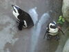 Filename=20120929_070.jpg
Filesize=154KiB
Dimensions=1024x768
Date added=Mar 24, 2013 20120929_070.jpg